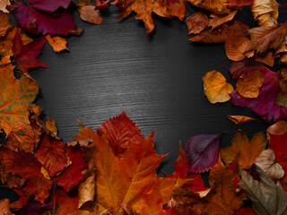 Fallen autumn leaves in the form of a frame, in the centre copy space for your text. Autumn...