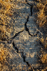 Dry cracked soil on Sussex farmland during a hot dry summer
