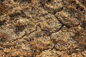 Dry cracked soil on Sussex farmland during a hot dry summer