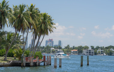 boats on the pier panorama beautiful day in miami usa florida palms tropical sea