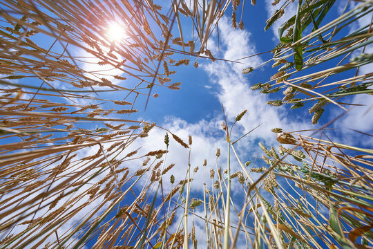 Windows Vev รูปภาพVev – เลือกดูภาพถ่ายสต็อก เวกเตอร์ และวิดีโอ4,573 | Adobe Stock