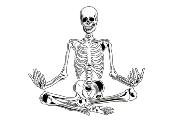 Fotobehang Vector skeleton in yoga position. Three separate parts (skull, torso, legs).  © norsob
