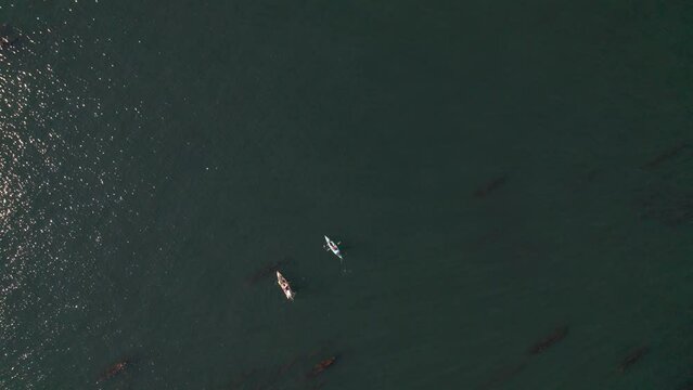 Kayaks on the ocean, sunny day, drone footage, Sooke BC, top down view, relaxing ocean scene. 5.4K TO 4K 24FPS.