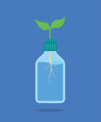 bottle used as pot for plant