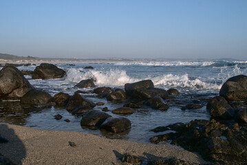 olas rocas y gaviotas en la playa en oto&ntilde;o