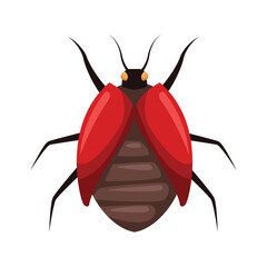 red bug insect