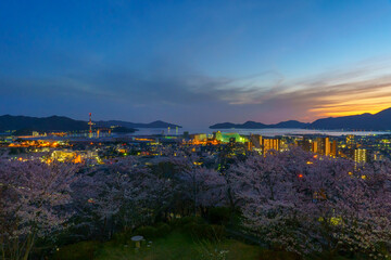 夕方の満開の桜と下松公園からの眺め