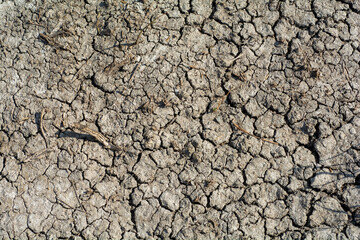 Parched ground showing harsh drought conditions, cracked soil.