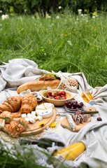 Picnic in the field with berries, juice, cheese, sausage and sweet croissants