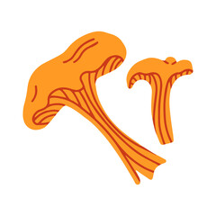 Chanterelle mushroom 