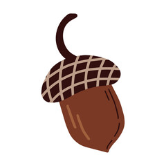 Hazelnuts 