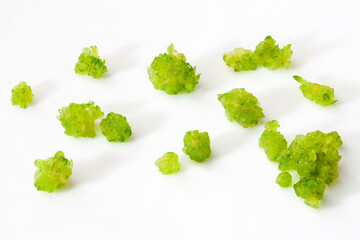 close up of medicinal herb dendrobium candidum protocorms on white background.