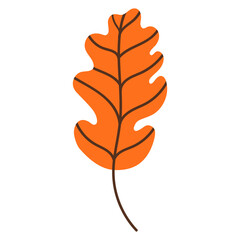 Obraz premium leaf isolated on white