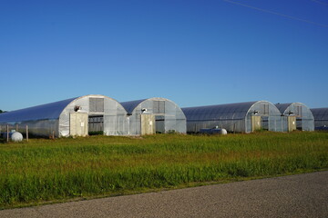 Fototapeta na wymiar Long greenhouses are being prepared to be used.