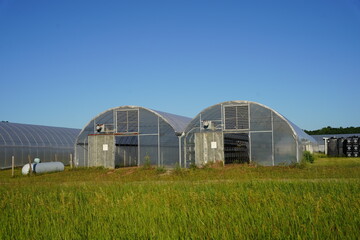 Naklejka premium Long greenhouses are being prepared to be used.
