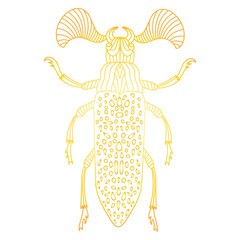 Golden insect in linear style 