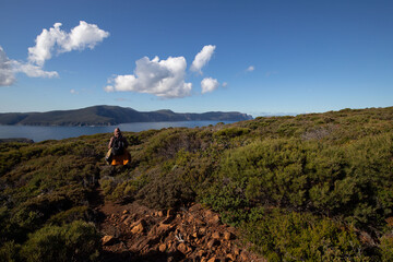 beautiful landscape from Tasman national park at the Peninsula of Tasmania Australia