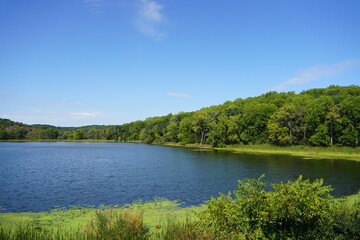 Obraz premium The lush green forest around a lake 