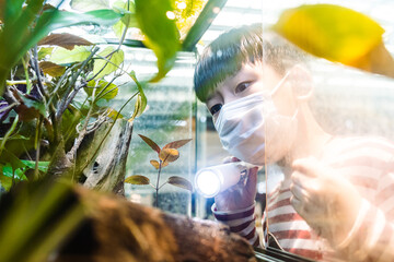 Smart Asian elementary student hold flashlight and point to plants in botany glass aquarium to observe ecology in science class at school. Nature experiment and education.
