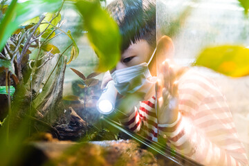 Smart Asian elementary student hold flashlight and point to plants in botany glass aquarium to observe ecology in science class at school. Nature experiment and education.