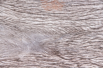 Wood texture grunge detail nature patterns old wall background