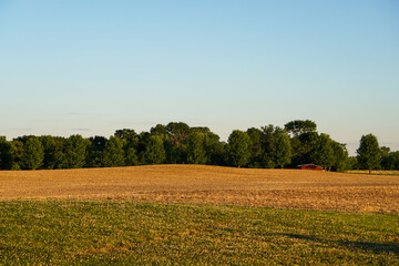 landscape with field and trees