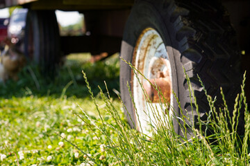 Tractor wheel parked in the field
