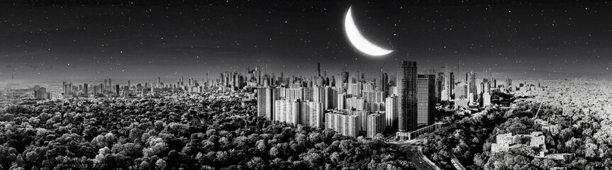 moon light toronto skyline panorama black and white 