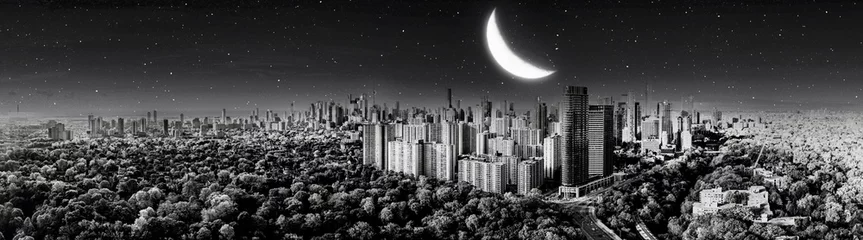 Tuinposter moon light toronto skyline panorama black and white  © contentzilla