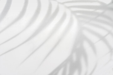 Tropical palm leaves shadow on white wall background with copy space