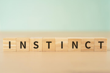 本能・衝動のイメージ｜「INSTINCT」と書かれたブロック
