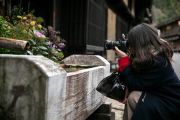 花をカメラで写真を撮る女性 