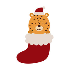 Cute little jaguar in Christmas sock. Cartoon animal character for kids cards, baby shower, invitation, poster, t-shirt composition, house interior. Vector stock illustration. © Jexy