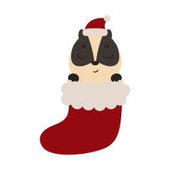 Cute little badger in Christmas sock. Cartoon animal character for kids cards, baby shower, invitation, poster, t-shirt composition, house interior. Vector stock illustration.