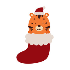 Cute little tiger in Christmas sock. Cartoon animal character for kids cards, baby shower, invitation, poster, t-shirt composition, house interior. Vector stock illustration.