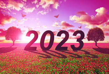 Number 2023 with tree in the meadow at sunset. Concept of Happy New Year.
