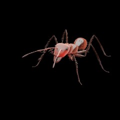 3d computer rendered illustration of a red ant isolated on a solid color