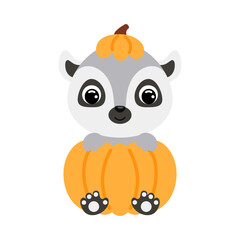 Cute little lemur sitting in a pumpkin. Cartoon animal character for kids t-shirts, nursery decoration, baby shower, greeting card, invitation. Vector stock illustration