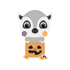 Cute Halloween lemur sitting in a trick or treat bag with candies. Cartoon animal character for kids t-shirts, nursery decoration, baby shower, greeting card, invitation. Vector stock illustration