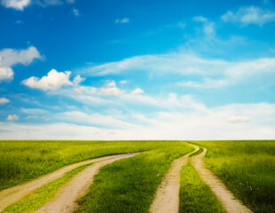 beautiful summer fields