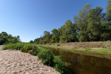 Fototapeta na wymiar Mahyses island protected natural area in the Loire Valley near Saint-Benoist-sur-Loire village