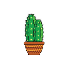 styled green cactus