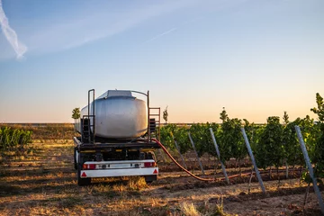Fototapete water trailer with hoses in a vineyard © Dirk