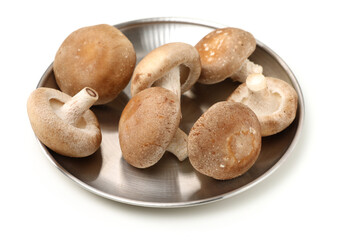 Shiitake mushroom on the White background 