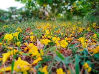 Excellent view with beautiful scenario