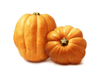 Two large orange pumpkins with shadow on white