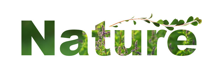 Fototapeta premium Text NATURE with green fild in letters and small waved twig with leaves isolated on white
