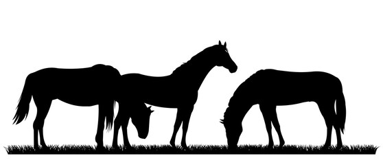 Horses are grazing. Picture silhouette. Farm pets. Animals domestic traditional. Isolated on white background. Vector Goat with kid near the herd