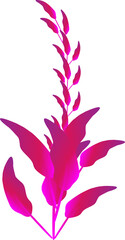 Fototapeta na wymiar Purple flower plants ornate nature leaf botany decorative backgrounds illustration
