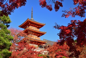 京都の秋　紅葉の清水寺